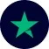 trustpilot-review-icon